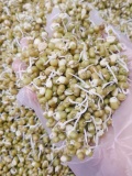 Ngũ cốc mầm cao cấp  7